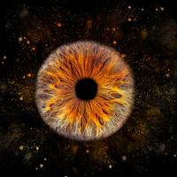 Delphine BURTON - Delphine Burton photographe